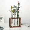Simple Nordic Test Tube Glass Vase Decoration Creative Wooden Frame Hydroponic Plant Container Home Decoration 4
