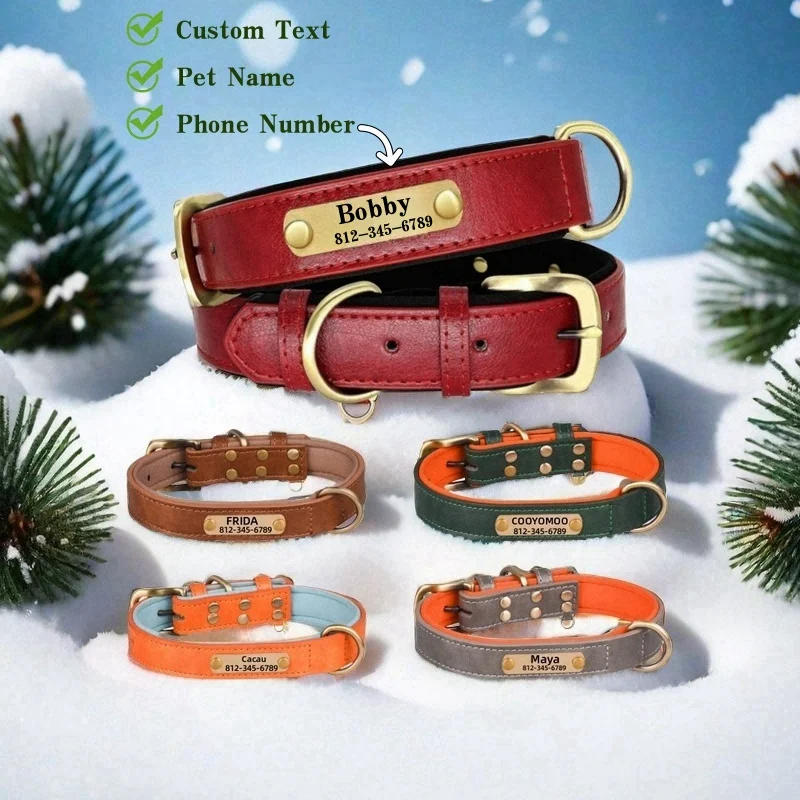 Personalized Soft Padded Leather Dog Collar and Leash with Engraved Nameplate