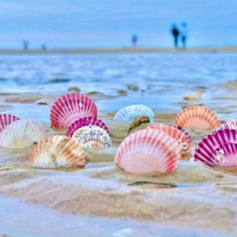 15Pcs Pink Scallop Shells for DIY Crafts, Resin Art, Beach Wedding Favors, Boho Home Decor, Ocean Sea Shells