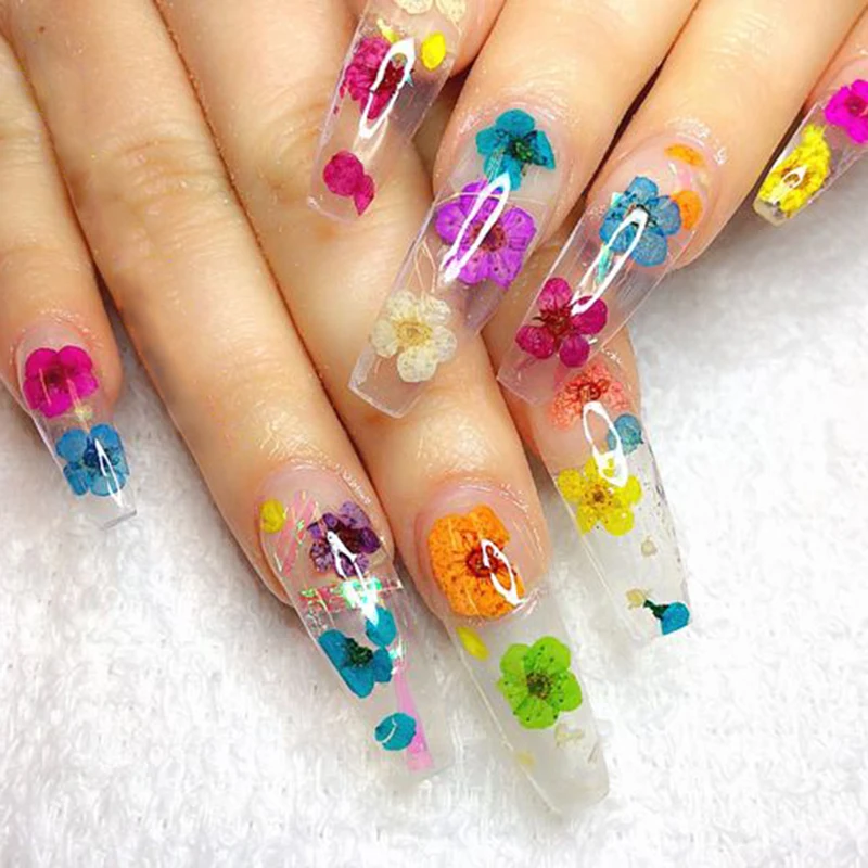12 Colori Fiori Secchi Per Nail Art - Decorazioni Unghie Naturali Con Scatola - Foto 5