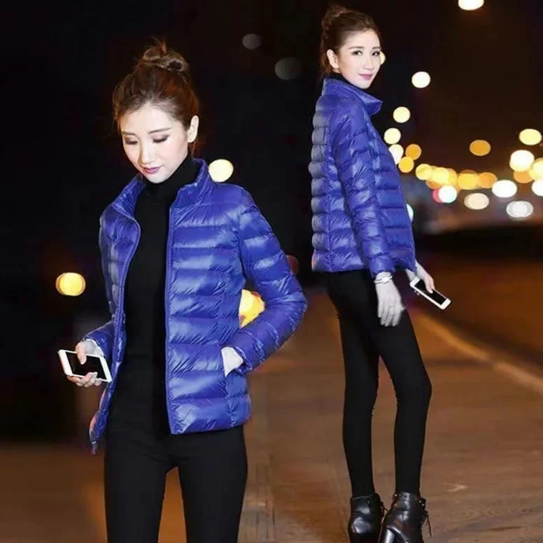 Sapphire blue [stand collar]