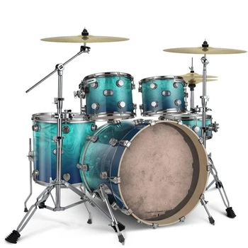 Acoustic Jazz Drum Set Head Black Gold Series Professional Kit for Beginner Musician Drummer