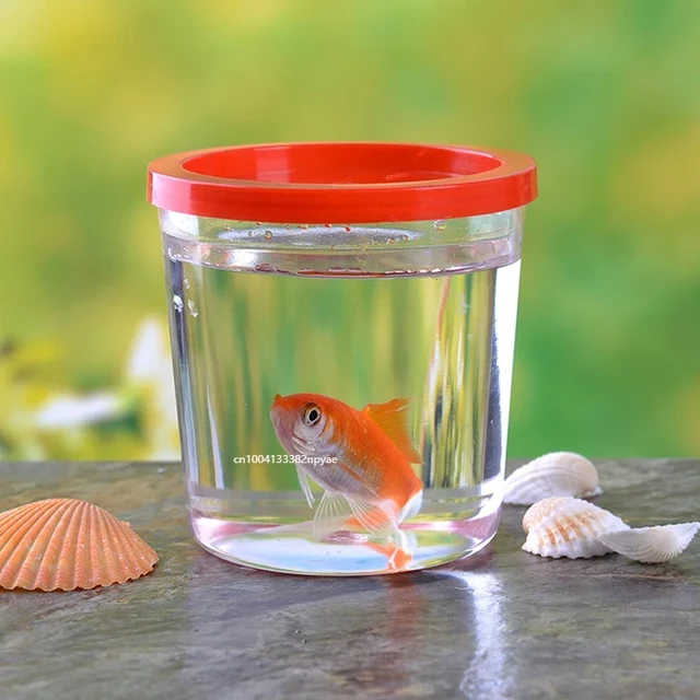 Portable Betta Cup Fish Bowls Mini Turtle Cage Plastic Small