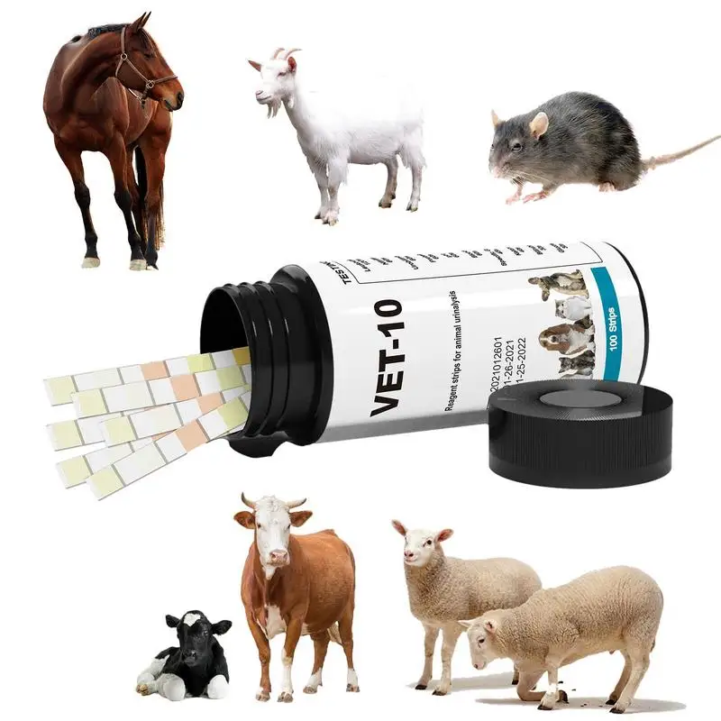 

Urine Test Strips For Dogs 100pcs Accurate Urinalysis Parameter Tests Accurate Urine Test Strips To Detect PH Blood Specific