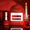 High Quality Korean Gel Polish Set Autumn  Winter Color Gel Kit Nail Salon Wholesale Marnicure Soak Off UV LED Nail Varnish Set 3