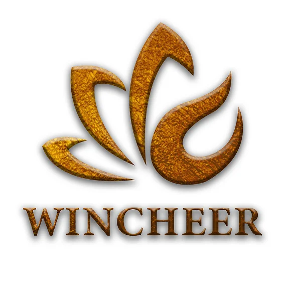 WincheerShoes Store
