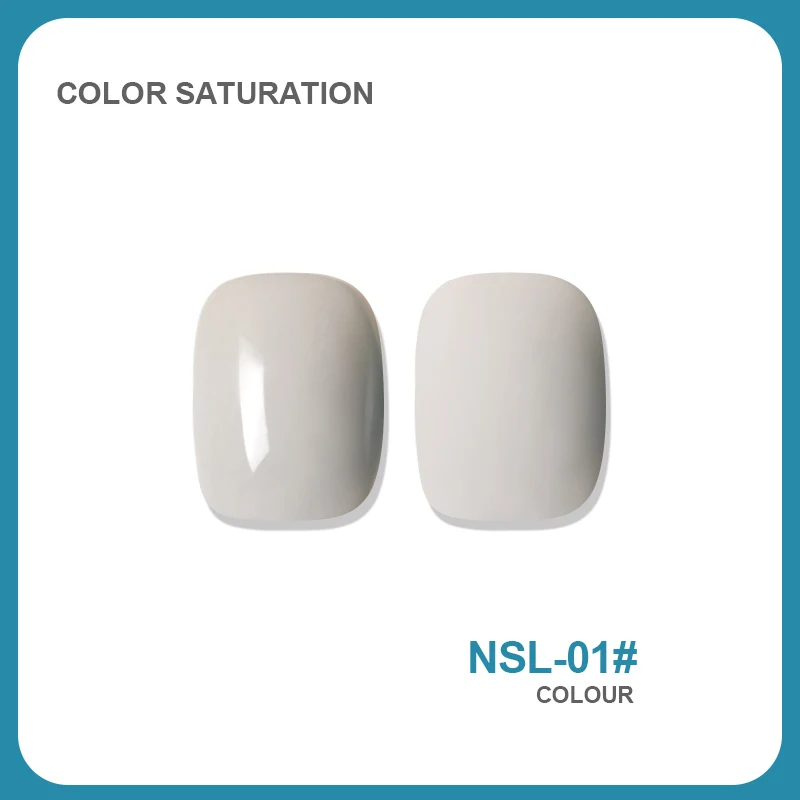 NSL 1