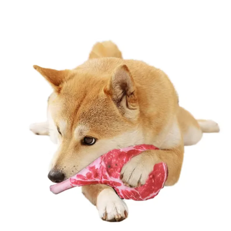 Squeaky Bone Dog Toy 4