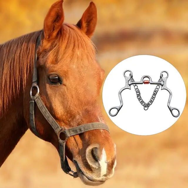 Bridon / Mors De Cheval Ancien Rétro Rare Collectible En Fer
