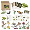 1 Box Animal And Plant Growth Cycle Examples Children Toy Insect Models Montessori Learning Aids 1