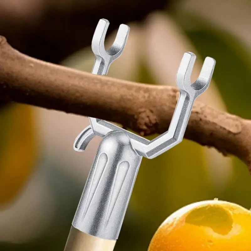 Branch Support For Fruit Trees 8pcs Crutch For Leaning Fruit Tree Y-Shaped Tree Supporting Tool Sloping Trees Ornamental