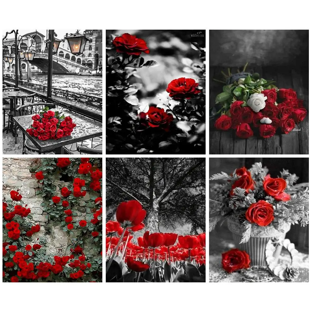 

CHENISTORY Acrylic Painting By Numbers Handpainted Canvas Painting Roses Number Painting Wall Decor Coloring By Numbers