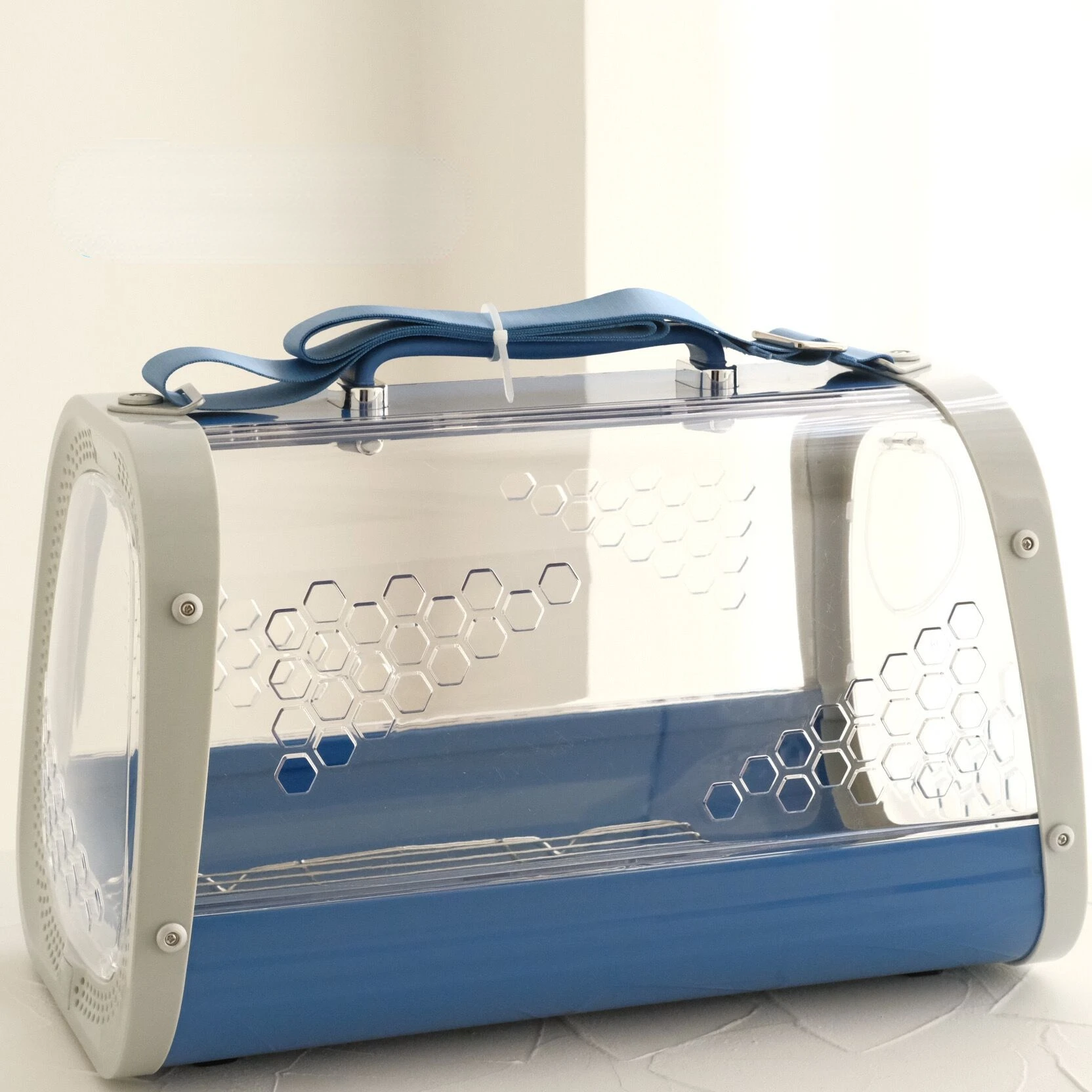 Рисунок 2 - Прозрачный попугай из клетки из