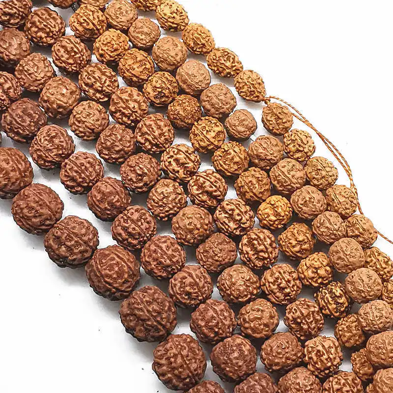 Rudraksha Bodhi Beads Strand, Rudraksha grande, 10mm, 11mm, 12mm, 13mm, 14mm, 15mm, 16mm, novo, 24Novo