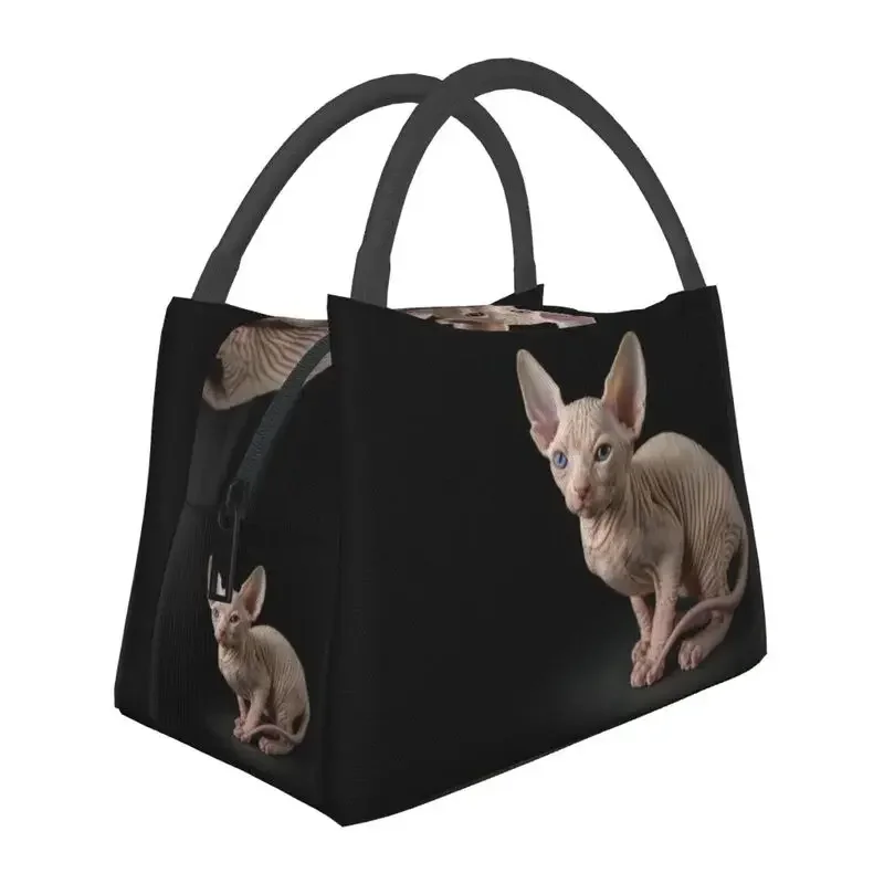 

Sphynx изолированная сумка-тоут для ланча с кошкой для женщин Забавный котенок портативный охладитель термический пищевой Ланч-бокс для больницы и офиса
