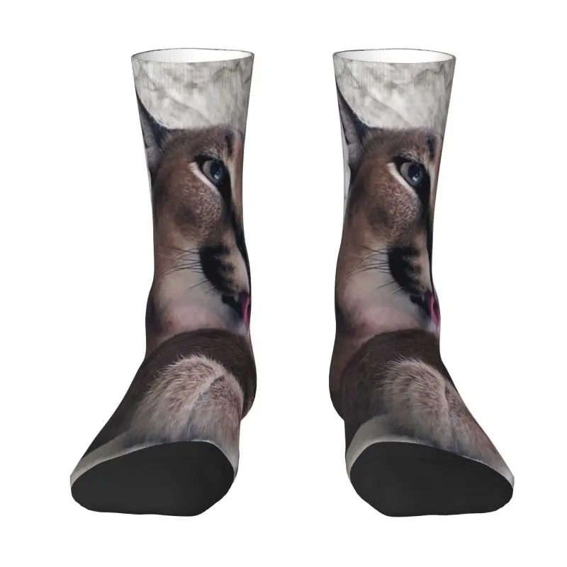 

Cute Caracal Cat Dress Socks Mens Womens Warm Fashion Big Floppa Meme Crew Socks