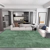 Light Luxury Minimalism Large Living Room Carpet Solid Color Home Decoration Bedroom Rug 200x300 Grey Soft Non-slip Floor Mats 3