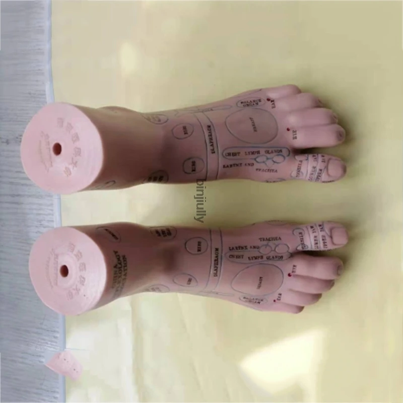 19cm Foot reflex zone massage model, not acupuncture model, Chinese and English code TCM Feet Reflexology, 1 pair