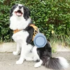 350/600ml Collapsible Dog Pet Folding Silicone Bowl Outdoor Travel Portable Puppy Food Container Feeder Dish Bowl Pet supplies 5