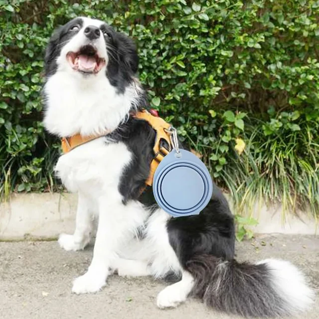 350/600ml Collapsible Dog Pet Folding Silicone Bowl Outdoor Travel Portable Puppy Food Container Feeder Dish Bowl Pet supplies 5