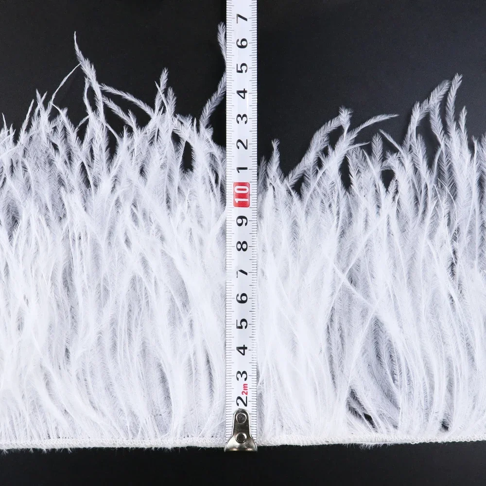 10-15 cm 4-6 inches