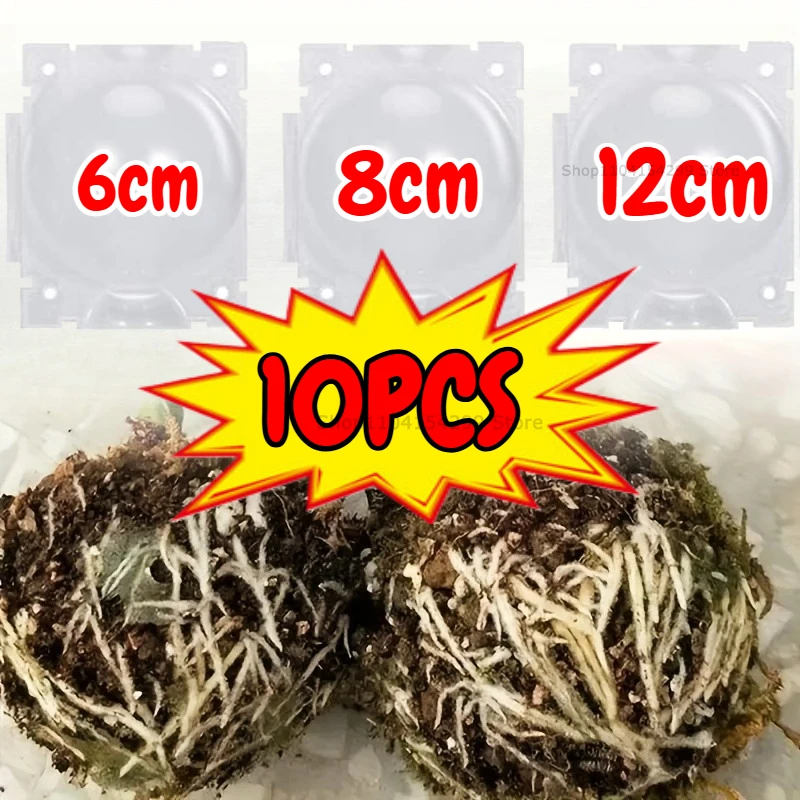 Reusable Plant Rooting & Propagation Ball