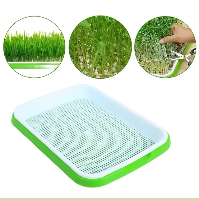 Germination Tray Seed Germination Tray Seedling Tray Wheatgrass Seed Planting Soilless Cultivation Planting Pot 2