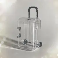 57BE Portabele Clear Small Suitcases Organizers Box for Small Items and Accessories 2