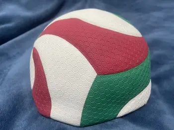 Professional Outdoor Training Volleyball 1