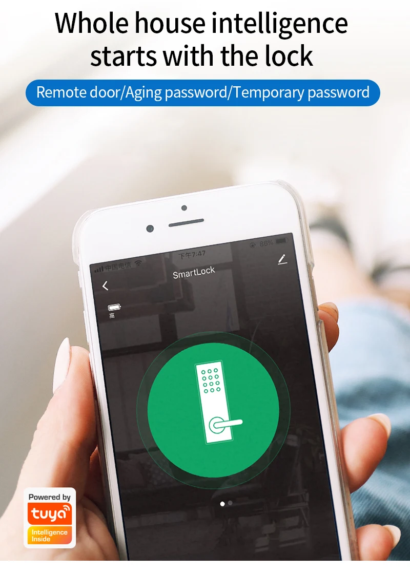 Tuya Electric Intelligent Lock App/Biometric Fingerprint/RFID Card/Temporary Pas