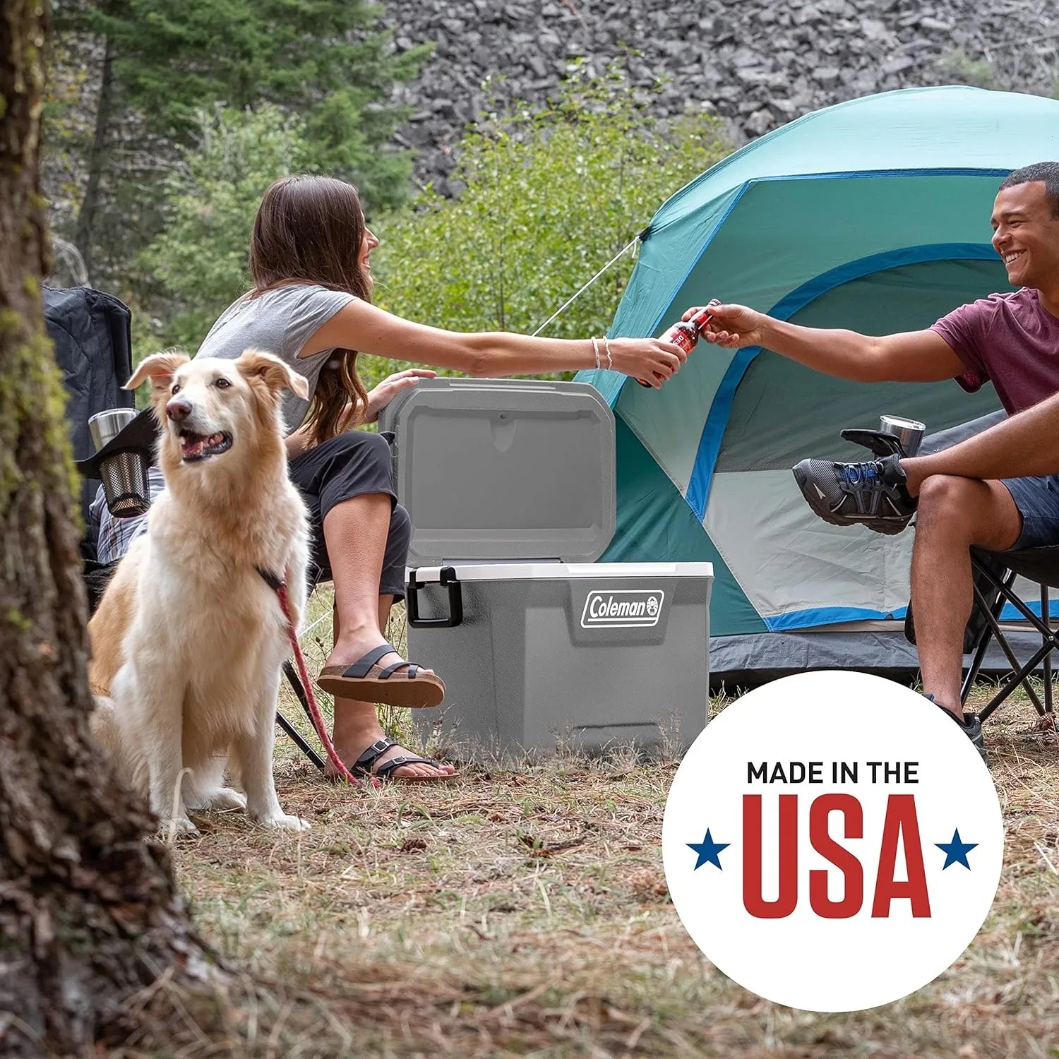 316 Series Insulated Portable Cooler with Heavy Duty Handles, Leak-Proof Outdoor Hard Cooler Keeps Ice for up to 5 Days