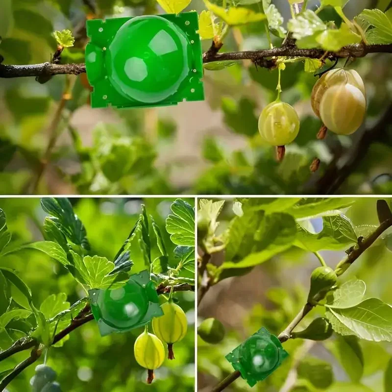 5/10Pcs Plant Rooting Equipment High Pressure Propagation Ball Garden Graft Box Plant Hydroponics Propagation Graft Nursery Box plant rooting box plant rooting pot hydroponic gardening kit hydroponic planting tools