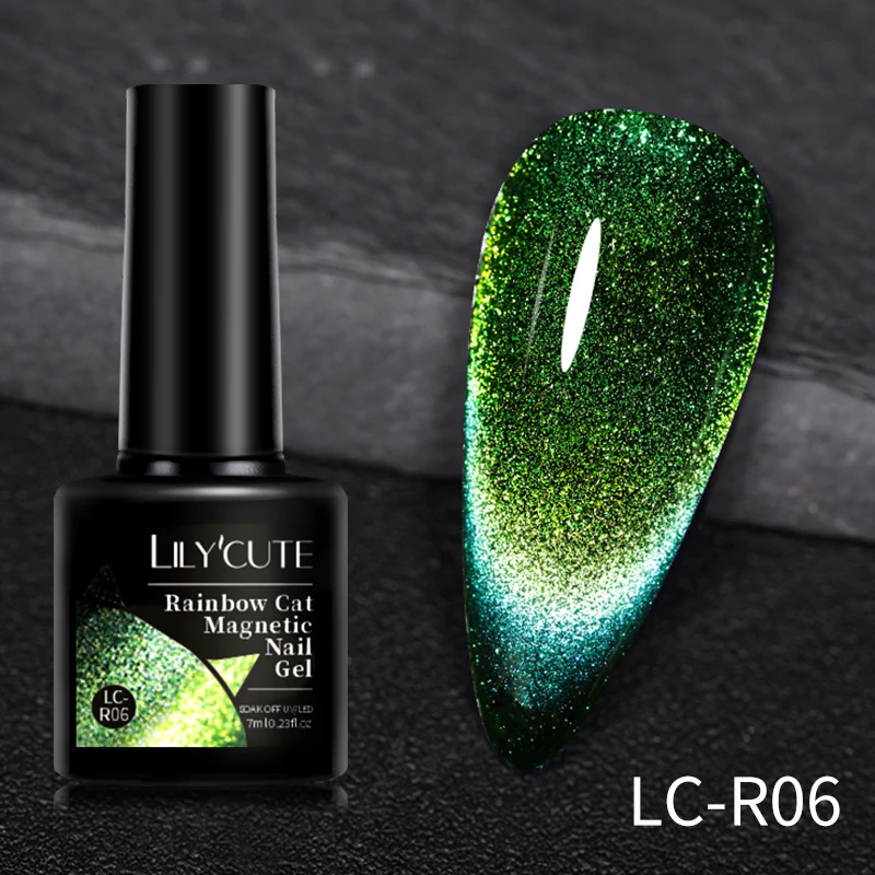 LC-R06