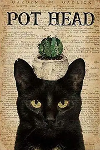 

Cat Cactus Pot Head Portrait Satin No Frame Street Garage Tin Sign Retro Kitchen Garden Restaurant Party Farm People Cave Farm W