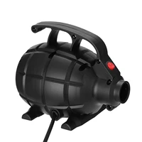 Pompe à Air Portable de Petite Taille, Outil Utilitaire de Camping Domestique, Polymère de Lit d'Air, Outil de Gonflage d'Air, Sécurité Rapide 2