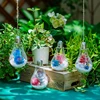 Light Bulb Shaped Terrarium Plants Hanger Vase Home Decoration Gift for Home Drop Shipping 1