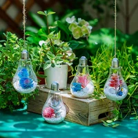 Light Bulb Shaped Terrarium Plants Hanger Vase Home Decoration Gift for Home Drop Shipping 1