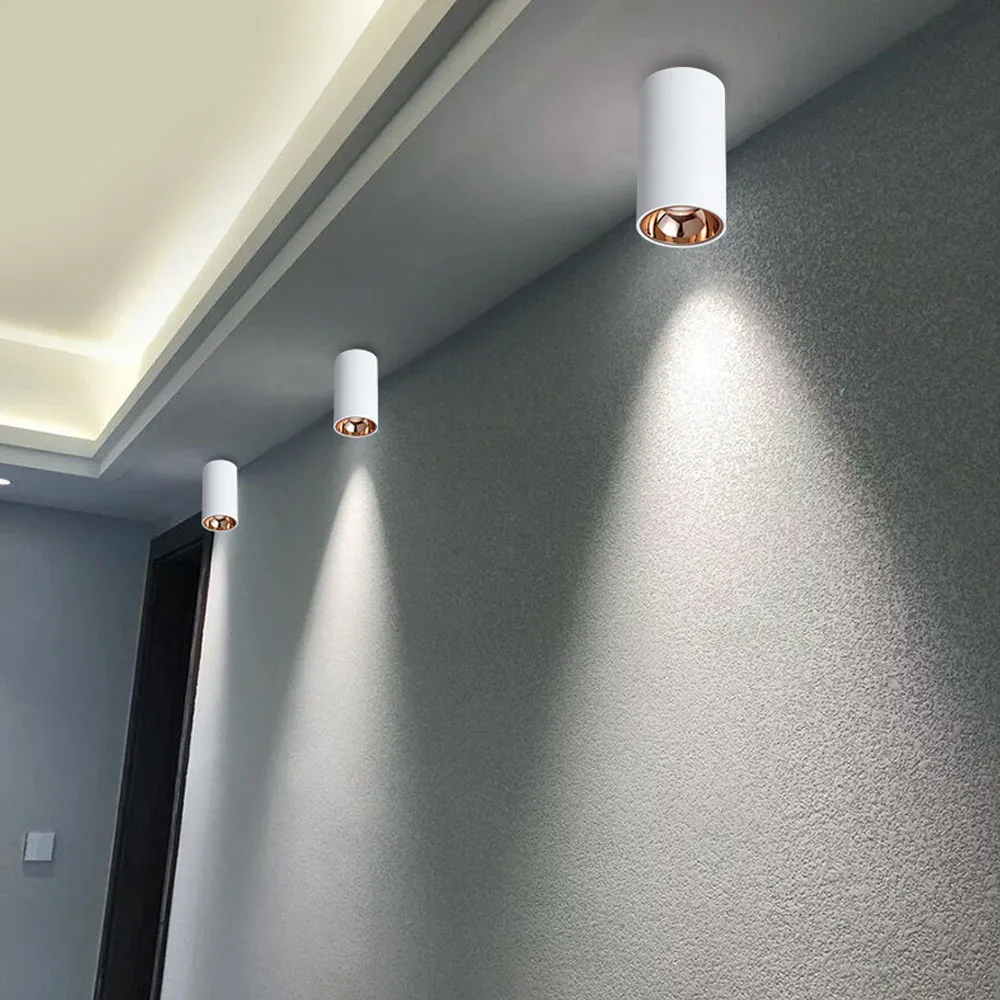 Cylinder Rose Gold Dimmable LED Spotlight Downlight 5W 10W 15W 20W 30W Ceiling Lamp For Livingroom Kitchen Bedroom Foyer Office 3 Cylinder Rose Gold Dimmable LED Spotlight Downlight 5W 10W 15W 20W 30W Ceiling Lamp For Livingroom Kitchen Bedroom Foyer Office 3