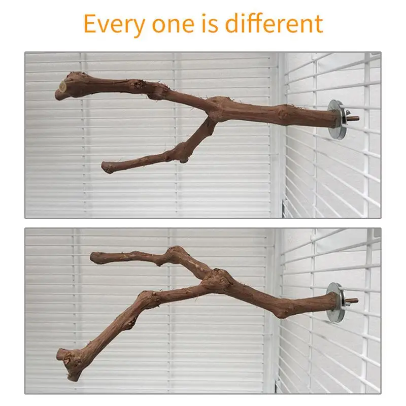     ĵ ƽ,  ߻  ,  ƽ, Ī  ޹ ĵ ƽ