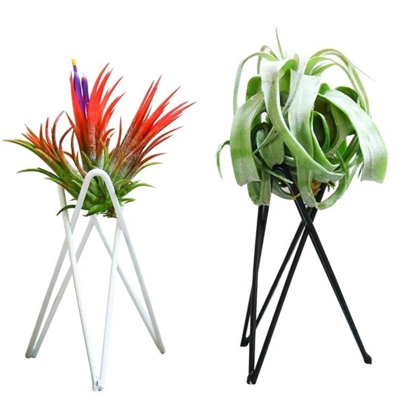 Nordic Style Air Plant Holder Metal Flower Pot Stand Geometric Iron Tillandsia Holder Art Display Home Garden Ornaments plant stand