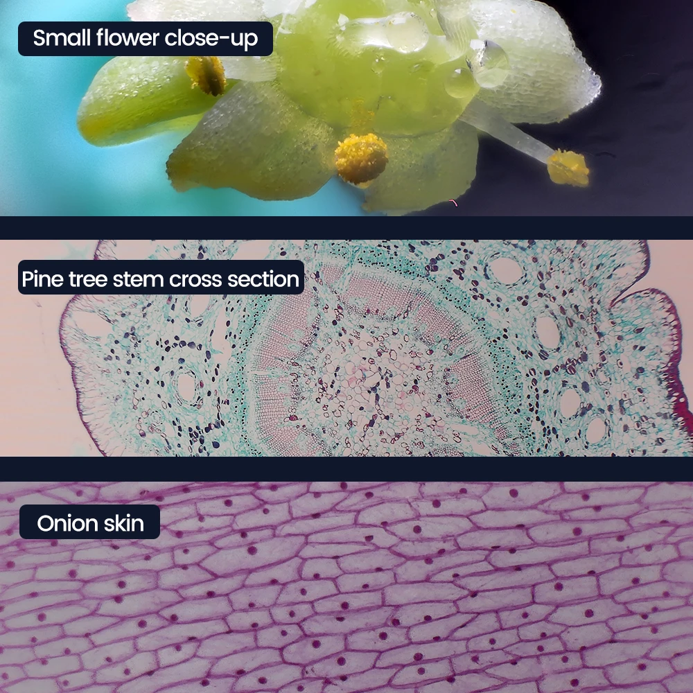 Sipeed MaixCAM Open-Source Digital Microscope Portable HD High Magnification For Primary And Secondary Students Dangdangli