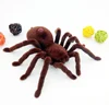 [Funny] Prank trick toy Infrared remote control flash spider animal toy Electronic pets RC simulation luminous tarantula model 2