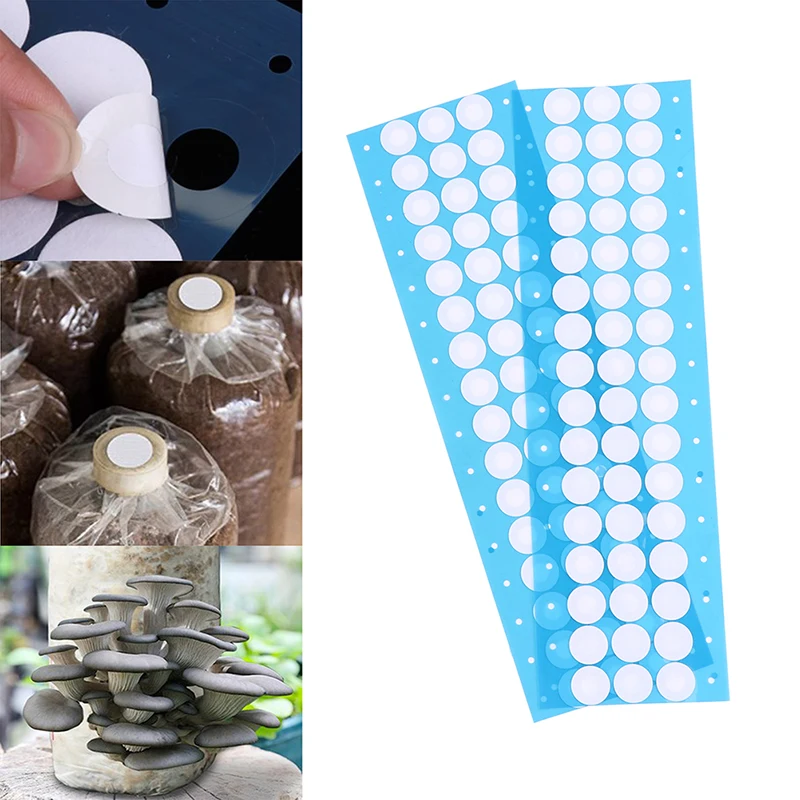 Synthetic Filter Paper Stickers Filter Disc 20mm 0.3 &Mu;m Applied Under Wide Mouth Jar Lid For Mushroom Cultivation