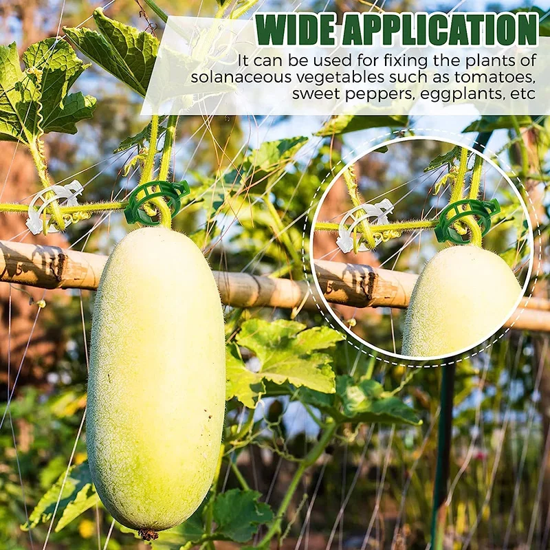 Lot De 100 Clips Pour Plantes Grimpantes En Plastique Pour Plantes