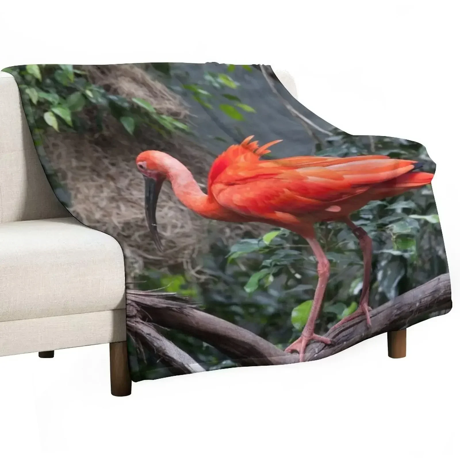 

Scarlet Ibis perched on a vine Throw Blanket Decoratives Blankets Sofas Of Decoration Blankets For Baby Blankets