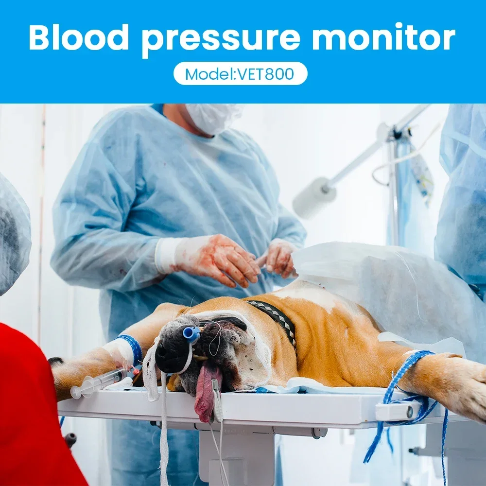 Electronic Sphygmomanometer Handheld Pet Blood Pressure Monitor 4.3 Inch IPS Tou