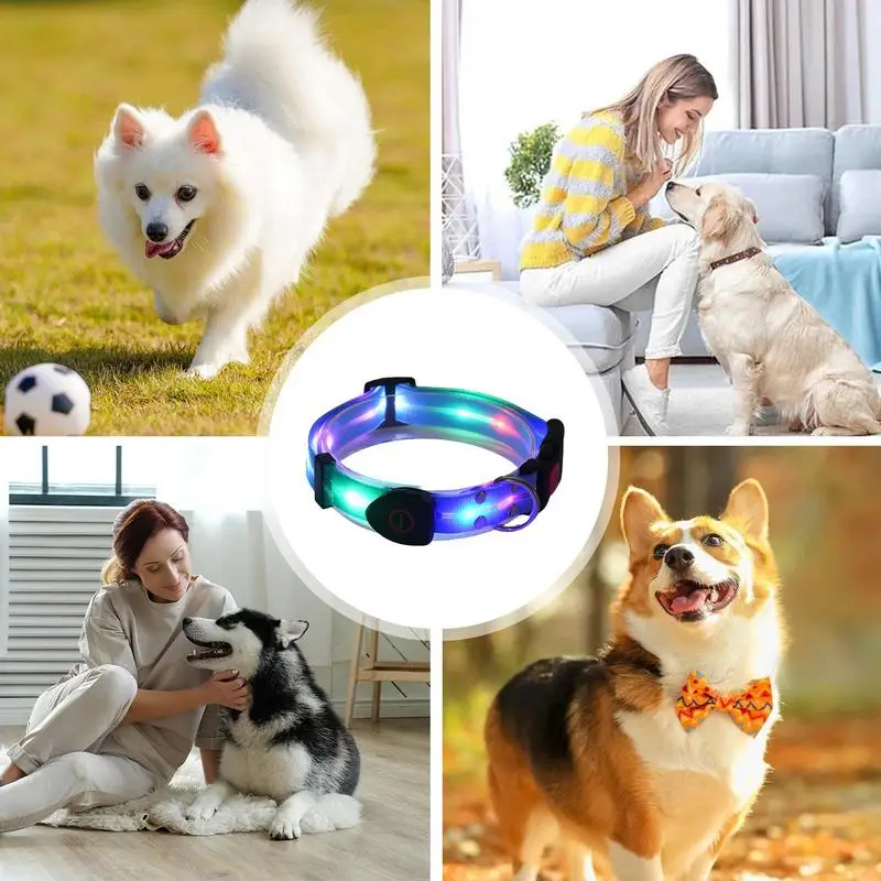 Rechargeable Waterproof LED Dog Collar - Adjustable, Weatherproof Glow