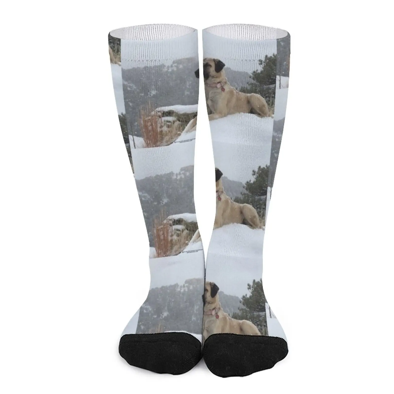 Anatolian Shepherd Dog on Guard Socks Funny socks woman Men's winter socks the shepherd boy