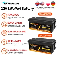 DATOUBOSS 12V200Ah300Ah LiFePO4 Battery High Capacity 2560Wh3840Wh Long Life 8000+Cycles  ABS Solar RV Off Grid Power Battery 1