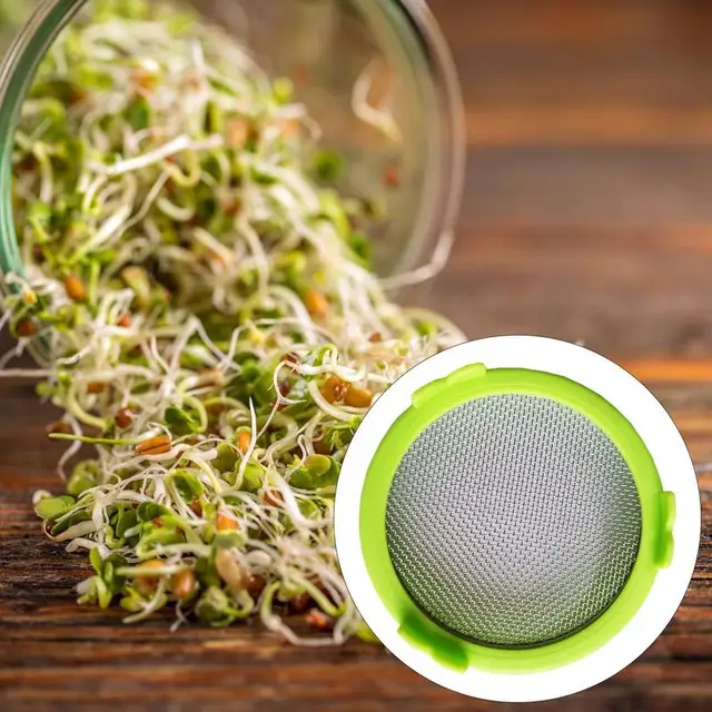 Csírázó Fedél Rozsdamentes Acél Képernyőhálóval Ellátott Széles Szájú Kőműves Edény Szűrő Mikrogreens Termelő Készlet - Image 5